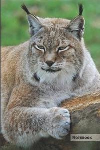Lynx Notebook