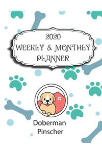 2020 Doberman Pinscher Planner: Weekly & Monthly with Password list, Journal calendar for Doberman Pinscher owner: 2020 Planner /Journal Gift,134 pages, 8.5x11, Soft cover, Mate Fi