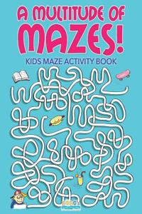 A Multitude of Mazes! Kids Maze Activity Book