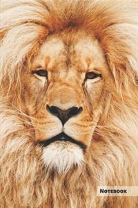 Lion Notebook