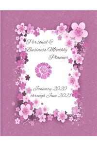 Personal & Business Monthly Planner January 2020 through June 2021
