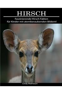 Hirsch