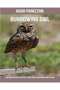 Burrowing Owl