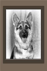 German Shepherd Notebook