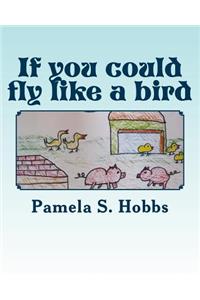 If you could fly like a bird