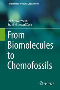 From Biomolecules to Chemofossils