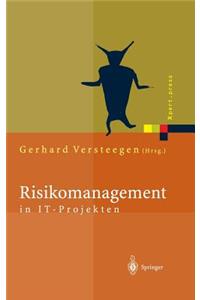 Risikomanagement in It-Projekten