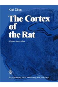 The Cortex of the Rat