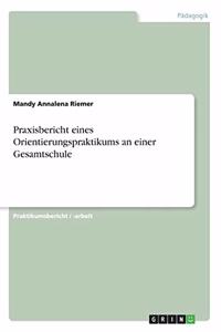 Praxisbericht eines Orientierungspraktikums an einer Gesamtschule