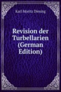 Revision der Turbellarien (German Edition)