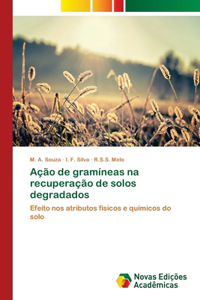 Ação de gramíneas na recuperação de solos degradados