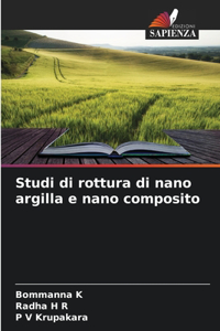 Studi di rottura di nano argilla e nano composito