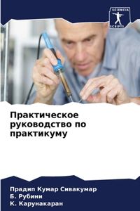 Практическое руководство по практикуму
