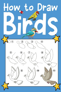 How To Draw Birds