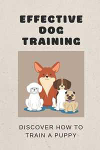 Effective Dog Training