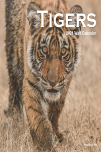 Tigers