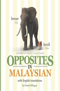 Opposites in Malaysian