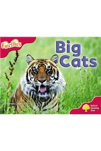Oxford Reading Tree: Level 4: More Fireflies A: Big Cats