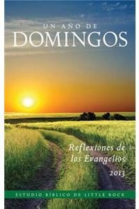 Un Ano de Domingos: Reflexiones Sobre Los Evangelios 2013