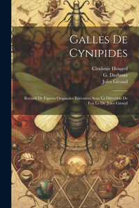 Galles de Cynipides