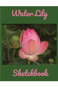Water Lily Sketchbook