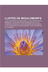 Llistes de Migalomorfs