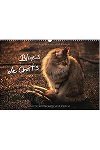 Blues de Chats 2017