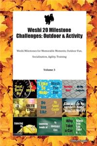 Weshi 20 Milestone Challenges