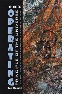 Operating Principle of the Universe