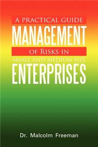 Practical Guide - Management of Risks in Small and Medium-Size Enterprises