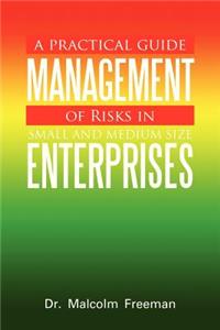 Practical Guide - Management of Risks in Small and Medium-Size Enterprises: A Practical Guide