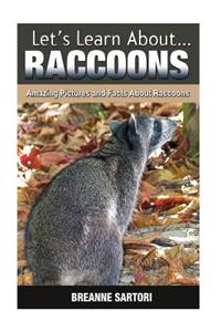 Raccoons: Amazing Pictures and Facts about Raccoons
