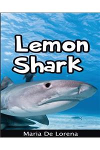 Lemon Shark