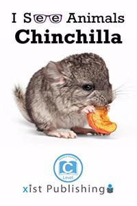 Chinchilla