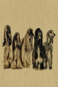 Afghan Hound: Artified Pets Dog Journal/Notebook/Diary
