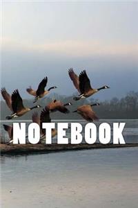 Migrating Geese Notebook