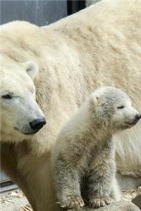 Sweet Mom and Baby Polar Bear Portrait Animals Journal