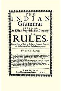 The Indian Grammar Begun