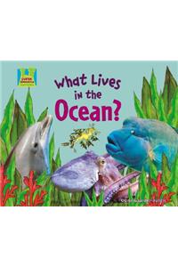 What Lives in the Ocean?