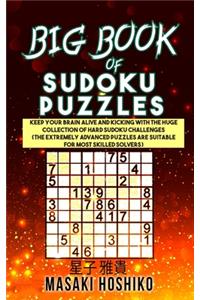 Big Book Of Sudoku Puzzles