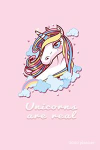 Unicorns are Real 2020 Planner