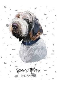Spinone Italiano 2020 Planner