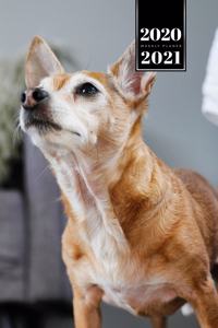 Chihuahua Dog Calendar Week Planner 2020 / 2021 - Proud Look