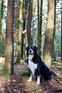 Australian Shepherd in the Woods Journal
