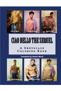 Ciao Bello The Sequel