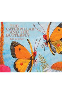 Caterpillar and the Butterfly