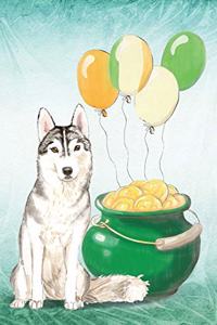 Siberian Husky