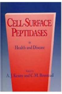 Cell Surface Peptidases: In Health and Disease