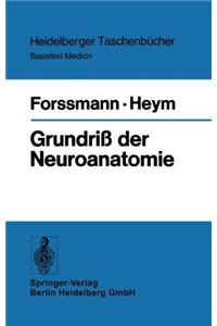 Grundri Der Neuroanatomie