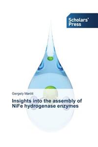 Insights into the assembly of NiFe hydrogenase enzymes